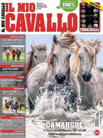 Il mio Cavallo